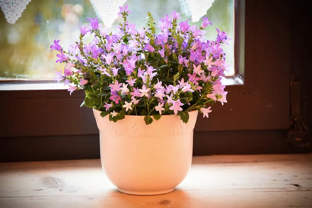 Fuchs Am Berg Hotel Bayerisch Gmain Holiday home